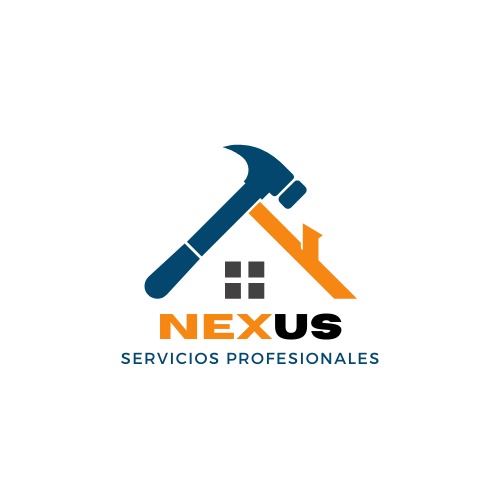 Nexus - Servicios Profesionales