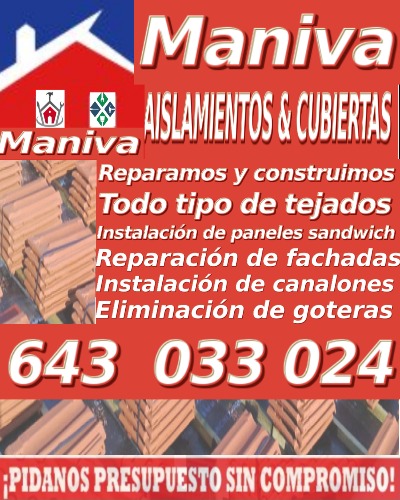 Iván: Constructor  en Madrid