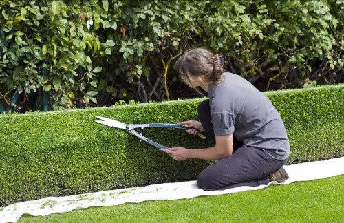 Juan: Jardinería y limpiezas  en Betanzos A Coruña