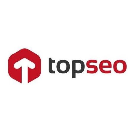 Top Seo: Agencia seo  en Madrid