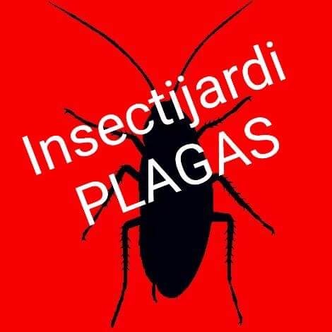 Insectijardi Plagas