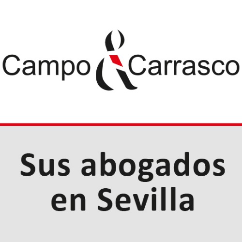 Ana Carrasco: Abogada  en Sevilla