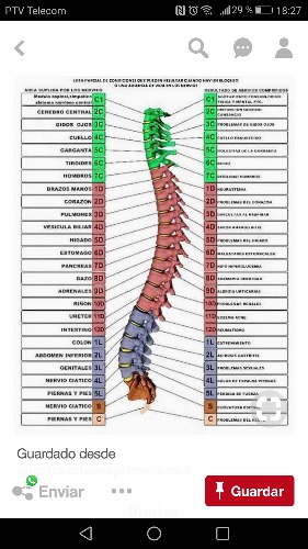 Magda: Terapia natural: osteopatía, fisioterapia . Terapias alternativas  en Valencia