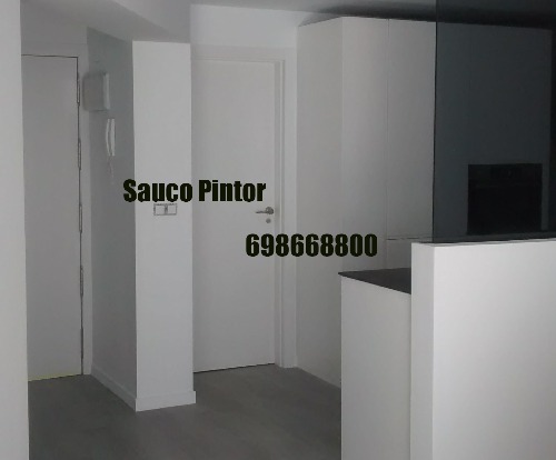 Sauco Pintor
