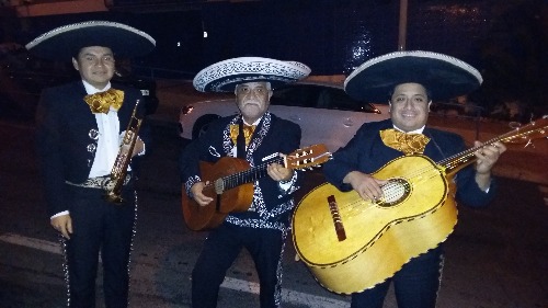 Trabajo3 Actuacion en todo tipo de eventos sociales  en Alicante - Mariachi Tapatío De Alicante