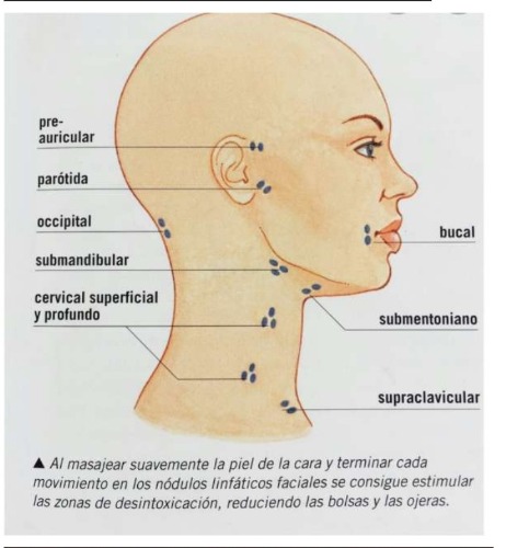 Trabajo2 Masajista terapeuta - Laura