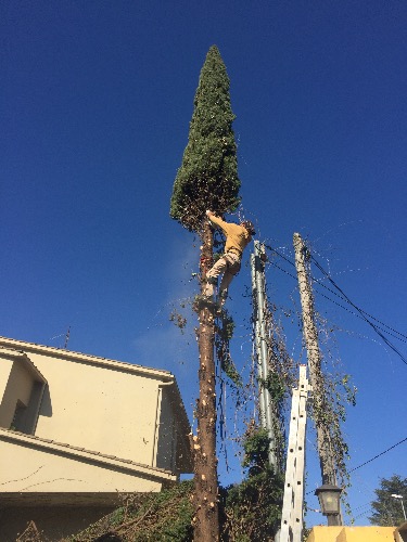 Trabajo4 Maria Janer Morillas - Jardinera  en OSOR Girona