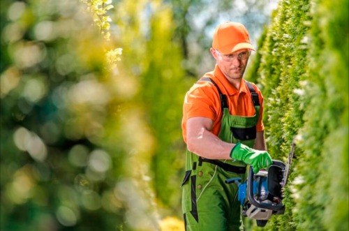 Trabajo3 Jardinería y limpiezas  en Betanzos A Coruña - Juan