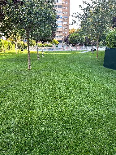 Trabajo1 Jardinería  en DAGANZO DE ARRIBA Madrid - Gabriel