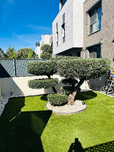 Trabajo4 Gabriel - Jardinería  en DAGANZO DE ARRIBA Madrid