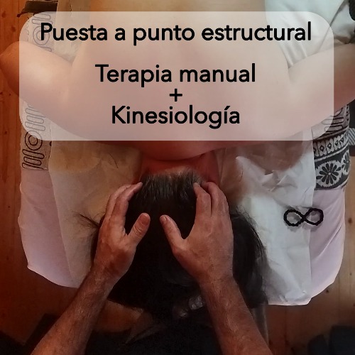 Trabajo2 Kinesiología holística y terapias naturales - Espacio De Salud