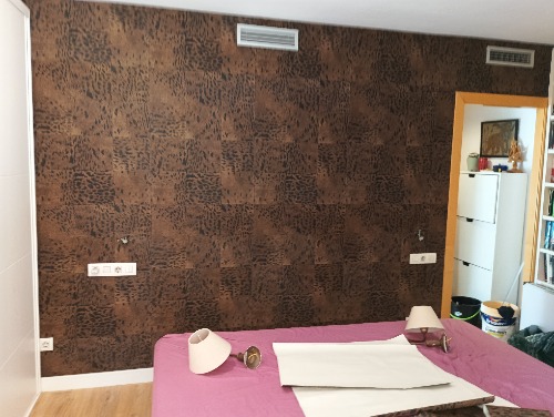 Trabajo4 Carlos Solans López - Pintor  en Cerdanyola del Vallés Barcelona