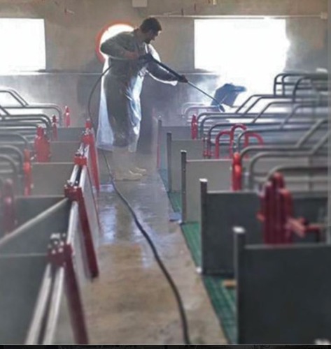 Trabajo1 Técnico en servicios ganadería porcina en Arbeca Lleida - Karim