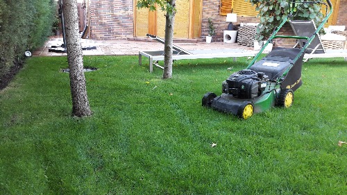 Trabajo3 Jardinería albañilería  en Galapagar - Wilson