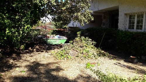 Trabajo4 Wilson - Jardinería albañilería  en Galapagar