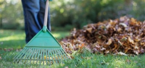 Trabajo4 Cleanxs - Servicio domestico y limpieza de oficinas  en alicante Alicante