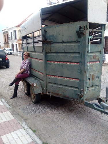 Trabajo3 Pensionista  en Villaverde del Río Sevilla - Diego Martinez Sarmiento