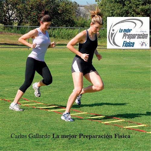 Trabajo1 Planificador de exitos y logros personales y deportivos  en Adeje Santa Cruz de Tenerife - Carlos Gallardo