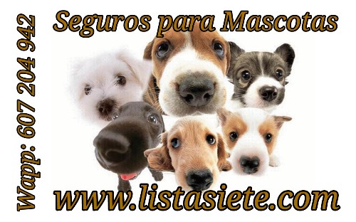 Trabajo3 Seguros de responsabilidad civil a terceros  en SANT CELONI Barcelona - Listasiete.com