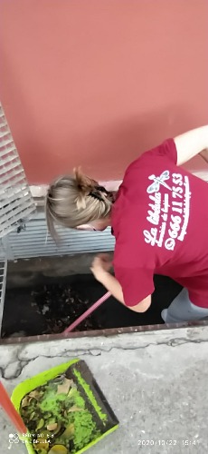 Trabajo3 Servicios de limpieza  en Puerto Real Cádiz - La Libélula Multiservicios