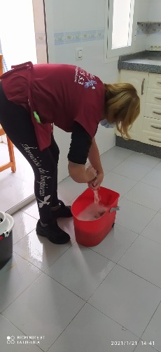 Trabajo4 La Libélula Multiservicios - Servicios de limpieza  en Puerto Real Cádiz