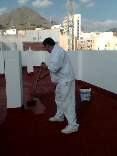 Trabajo4 Francisco - Pintor  en CALLOSA DE ENSARRIA Alicante
