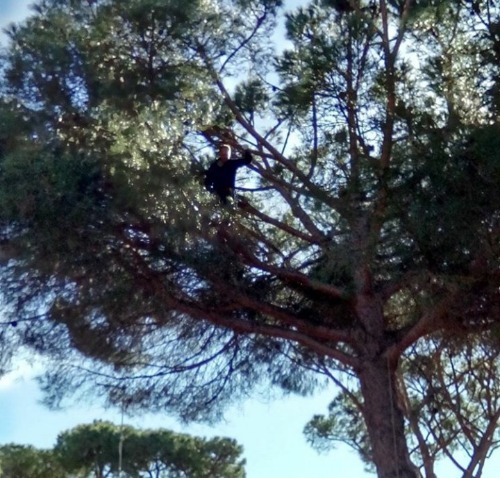 Trabajo3 Técnico en jardinería y control fitosanitario  en El puerto de santa María Cádiz - Juan Jesús