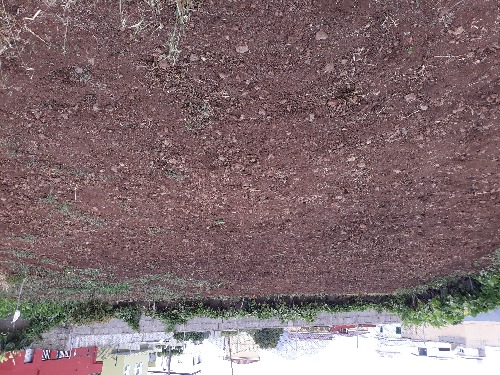 Trabajo1 Jardinero  en El Sauzal Santa Cruz de Tenerife - Pedro Manuel