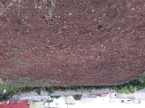 Trabajo1 Jardinero  en El Sauzal Santa Cruz de Tenerife - Pedro Manuel