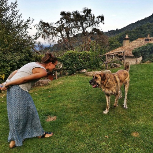 Trabajo1 Educadora y adiestradora canina  en Barcelona - Anna Vilaró