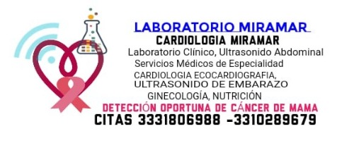Trabajo1 Cardiólogo   internista ecocardiógrafista  en Zapopan Guadalajara - Dra María Del Rosario Palomera Flores