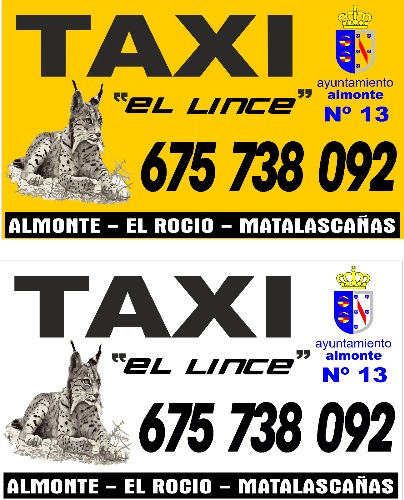 Trabajo1 Taxi  en ALMONTE ROCIO MATALASCAÑAS Huelva - Taxi
